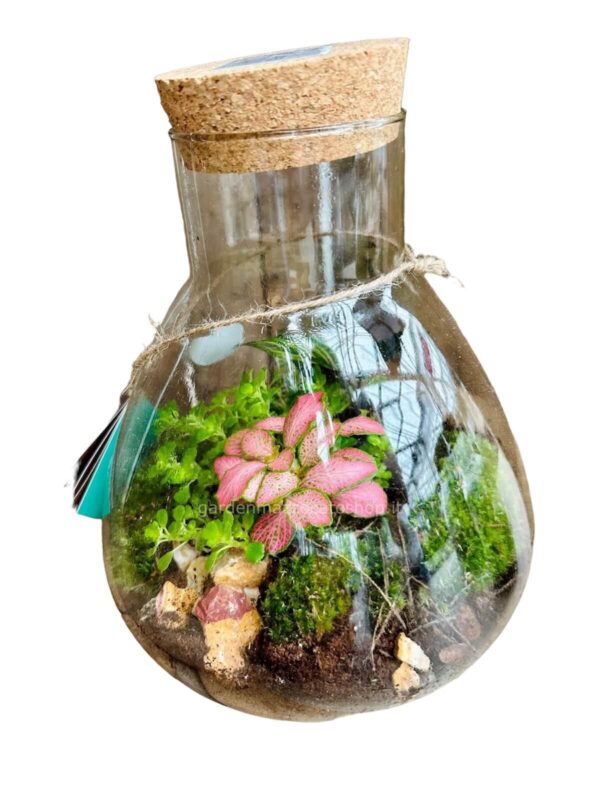 green terrarium