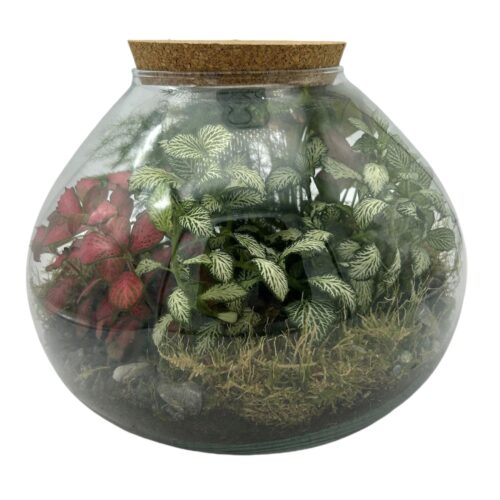 Terrarium con giardino fiorito