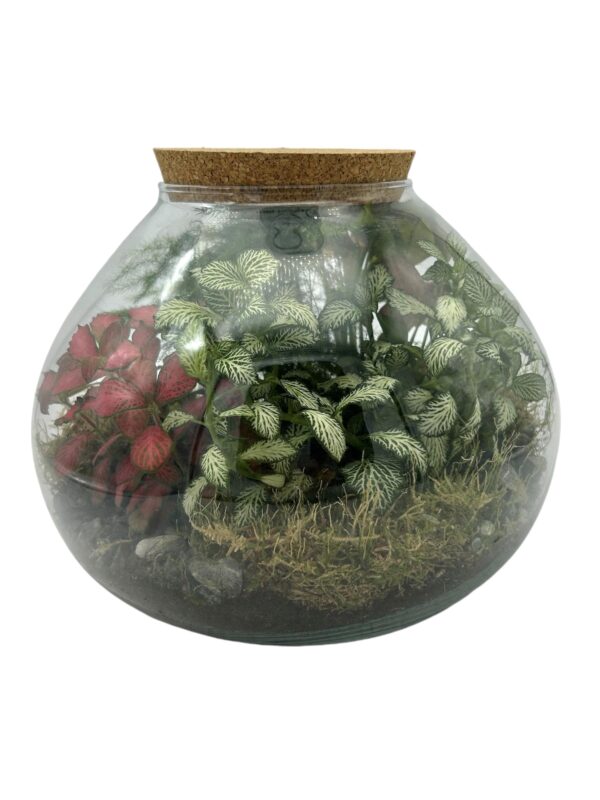 Terrarium con giardino fiorito