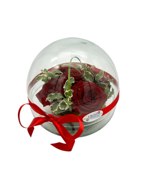 Boule di vetro con Rose rosse