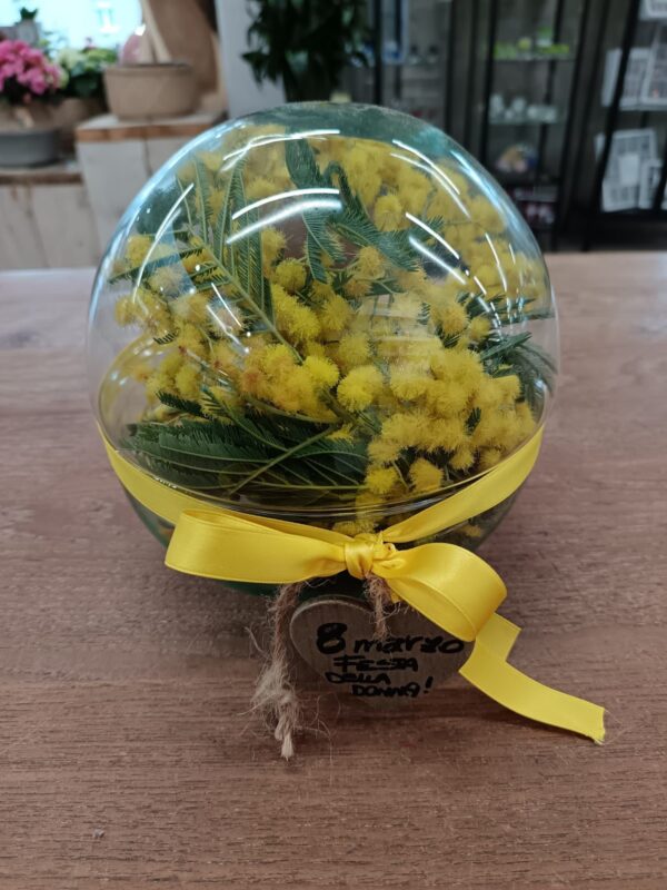 Flora: Boule di vetro con mimosa - immagine 2